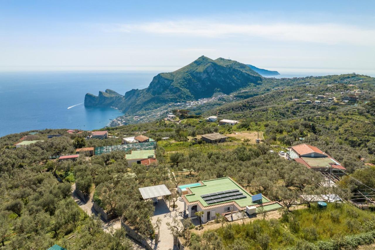 Rusinella Minimalist Retreat With Sea Views Villa Massa Lubrense